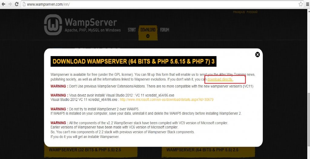 WampServer Website homepage download link screenshot.