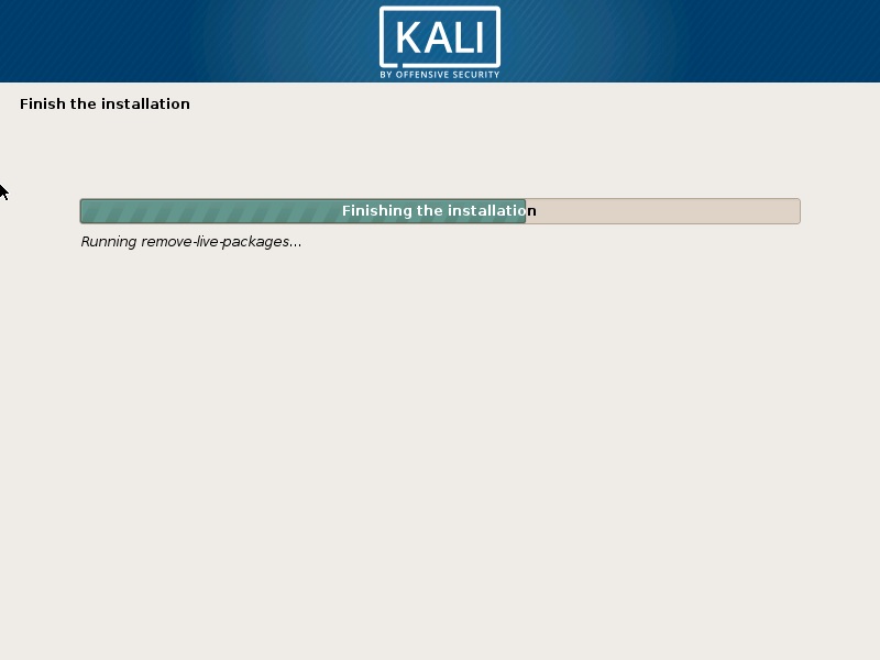 Kali Linux Installation