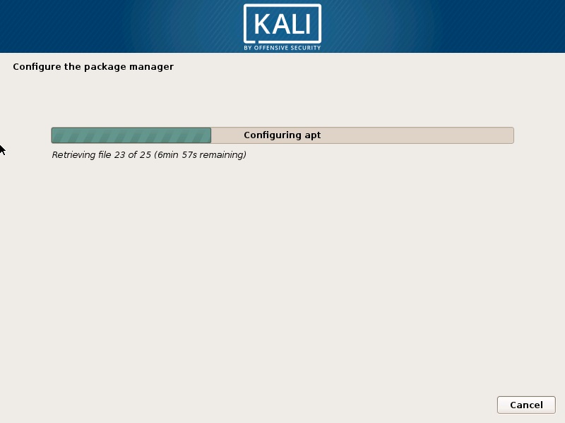 Kali Linux Installation
