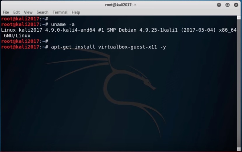 install kali linux virtualbox