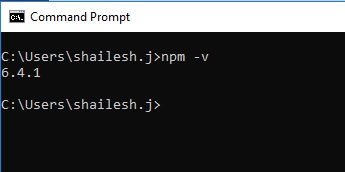 npm version