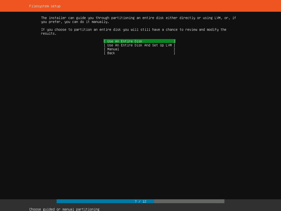 Ubuntu Server Installation - File System Setup