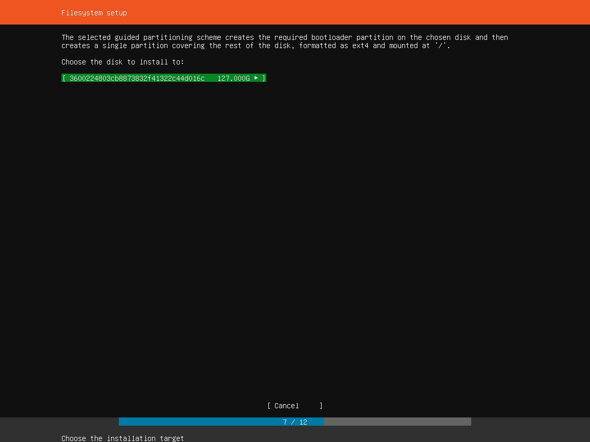 Ubuntu Server Installation - Filesystem setup - choose disk 
