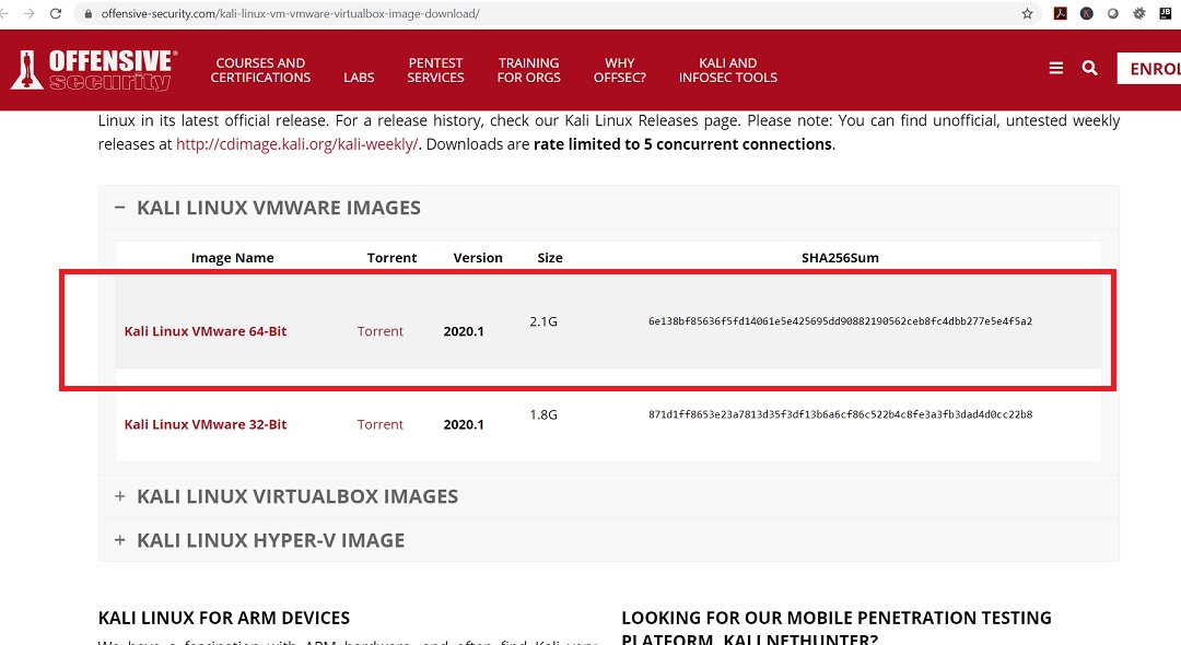 kali vm download
